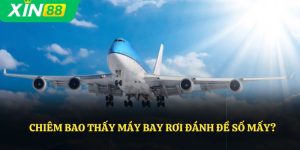 Mơ Thấy Máy Bay Rơi Là Điềm Gì