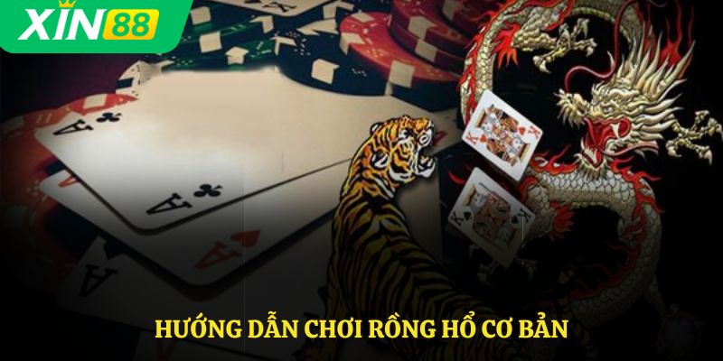 Hướng dẫn chơi rồng hổ cơ bản