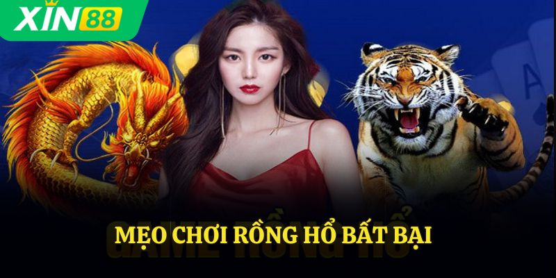 Mẹo chơi rồng hổ bất bại