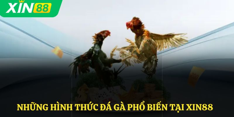 Những hình thức đá gà phổ biến tại Xin88
