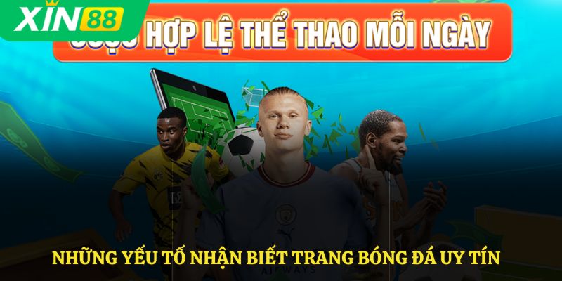 Những yếu tố nhận biết trang bóng đá uy tín