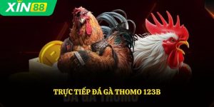 Trực Tiếp Đá Gà Thomo 123B