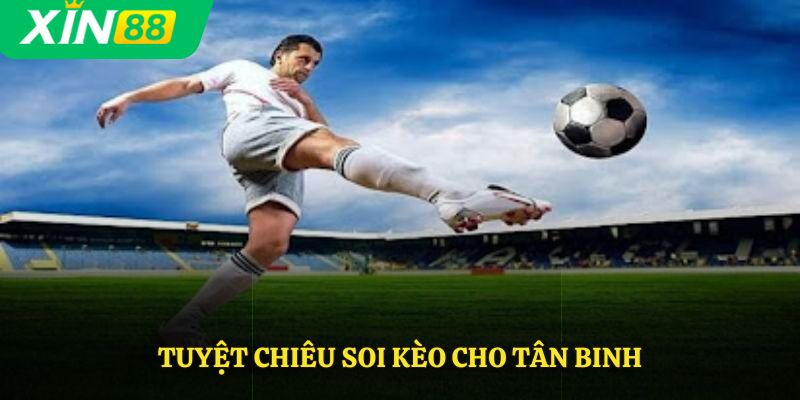 Tuyệt chiêu soi kèo cho tân binh