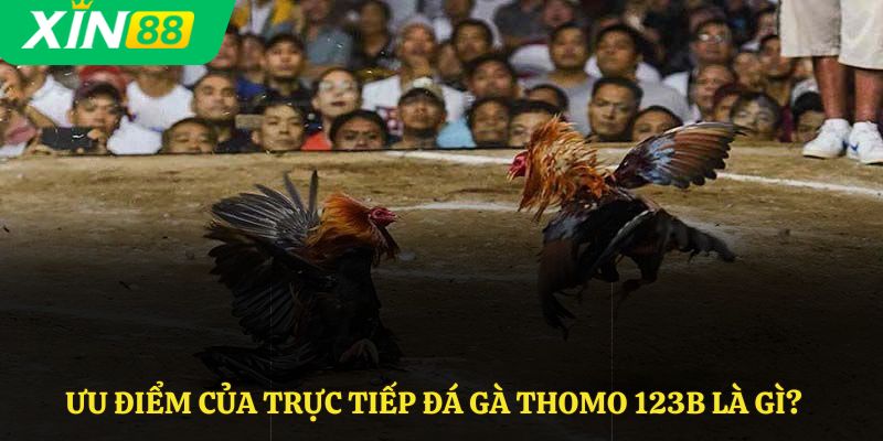 Ưu điểm của trực tiếp đá gà Thomo 123B là gì?