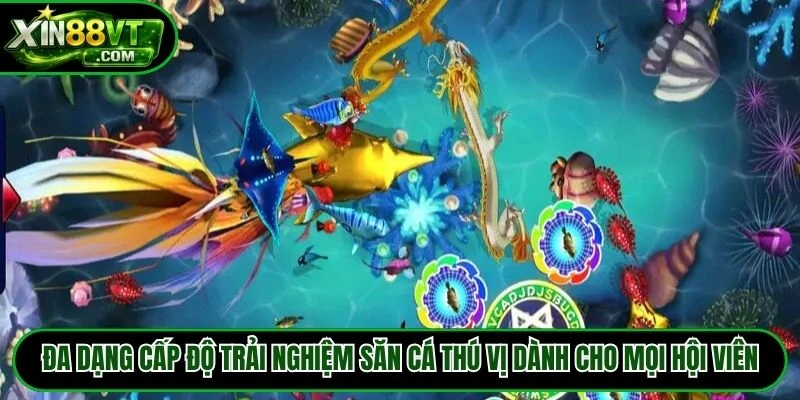 Đa dạng cấp độ trải nghiệm săn cá thú vị dành cho mọi hội viên
