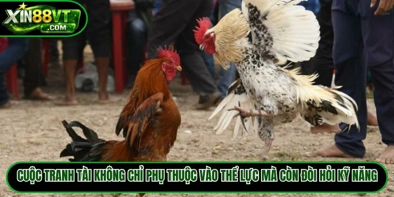 Cuộc tranh tài không chỉ phụ thuộc vào thể lực mà còn đòi hỏi kỹ năng