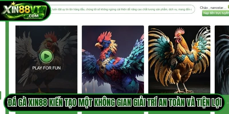 Đá gà XIN88 kiến tạo một không gian giải trí an toàn và tiện lợi